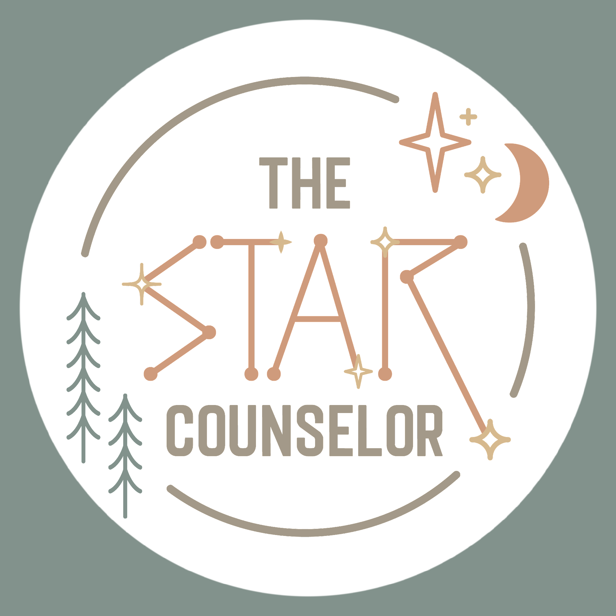 Image for The Star Counselor: Training for Summer Camp Staff