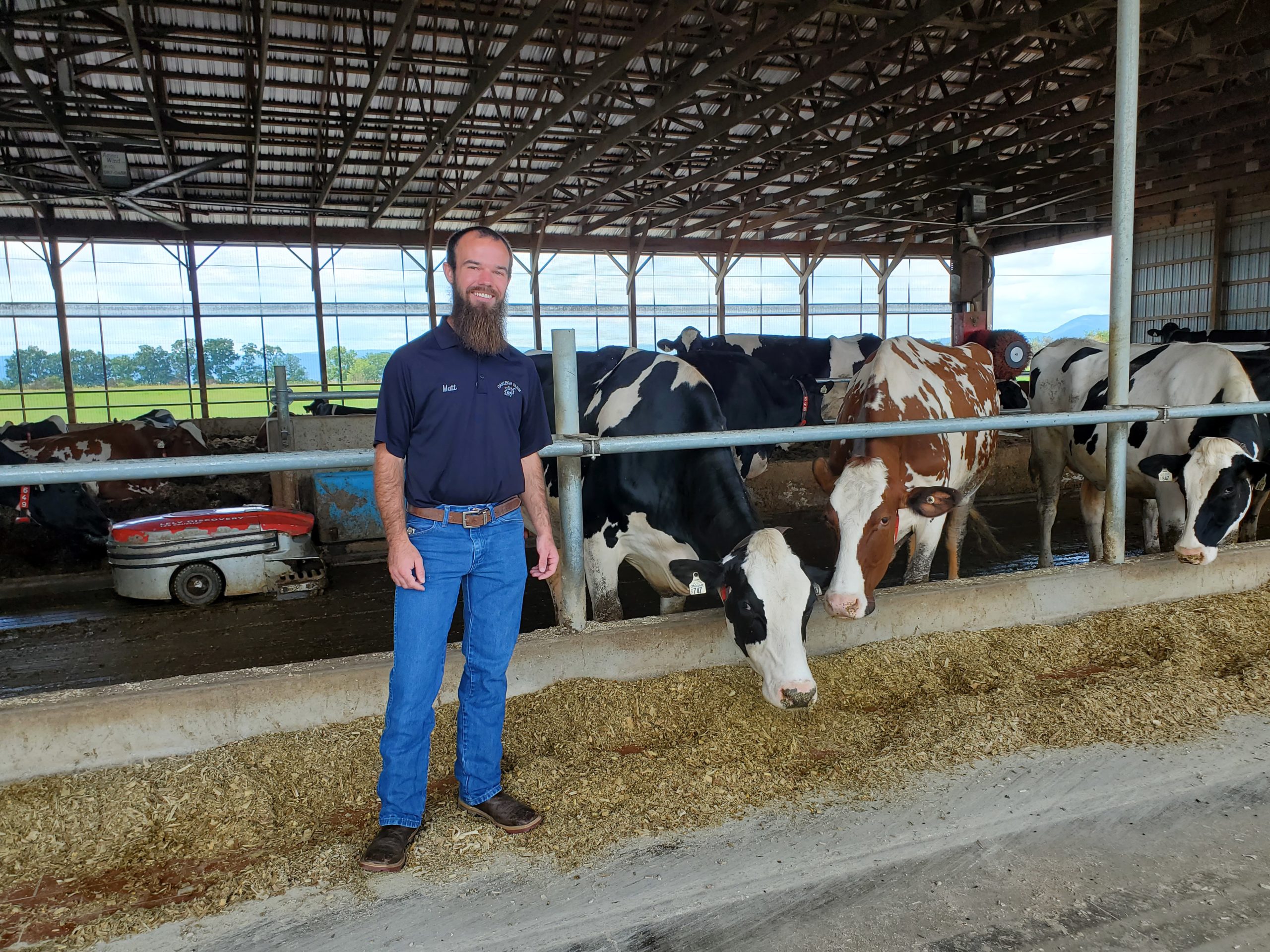 Image for Farmer Friday: Tour Oakliegh Farm, a robotic dairy farm with Matt Brake