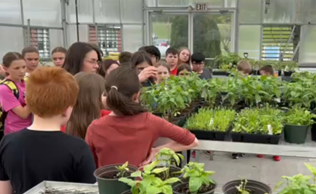 Image for Plant Propagation with PSU Master Gardeners