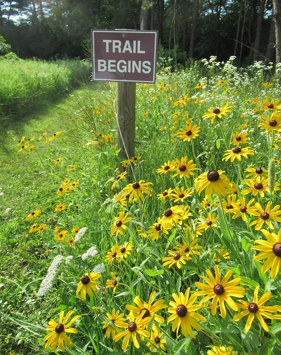 Image for Explore the “Stories of the Land” Interpretive Trailway