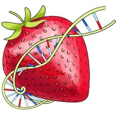 Image for Strawberry DNA