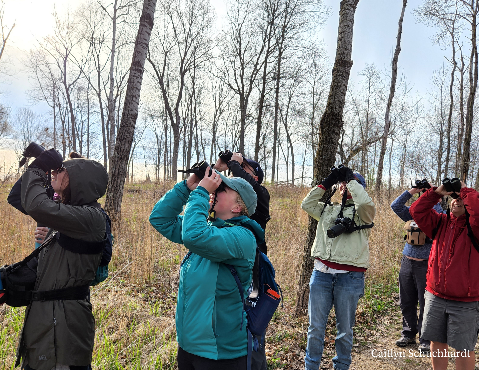 Image for Great Wisconsin Birdathon