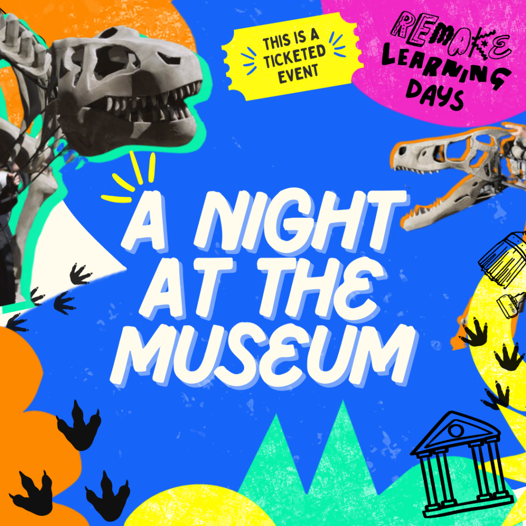 Image for ‘A Night at The Museum’
